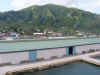 Rabaul 2012 0924 (6).jpg (233121 bytes)